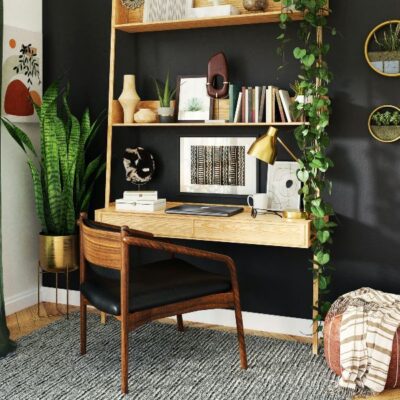 Pet friendly apartment